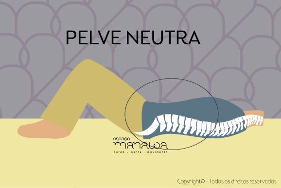 princípios básicos - pelve neutra